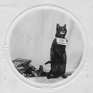 Meet your Posher, Shannon